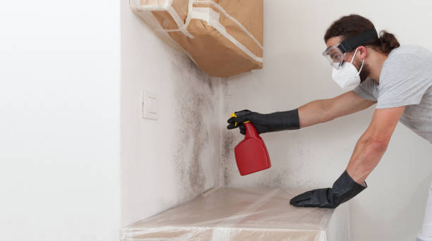 Professional Mold Remediation technician working in Antioch, IL