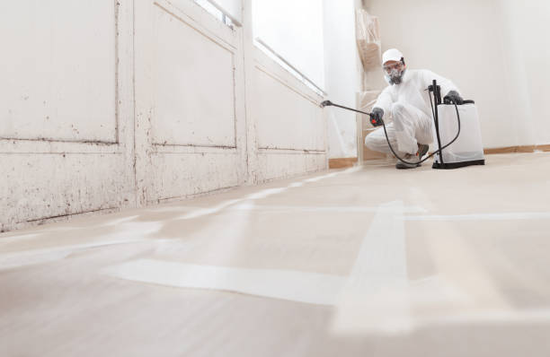 24/7 Emergency Mold Remediation experts in Antioch, IL